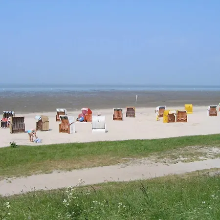 Dirks Seepferdchen Dangast